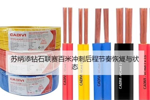 苏炳添钻石联赛百米冲刺后程节奏恢复与状态